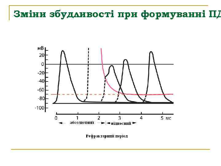 Зміни збудливості при формуванні ПД 