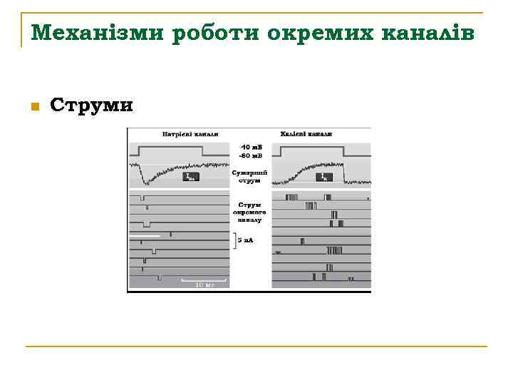 Механізми роботи окремих каналів n Струми 