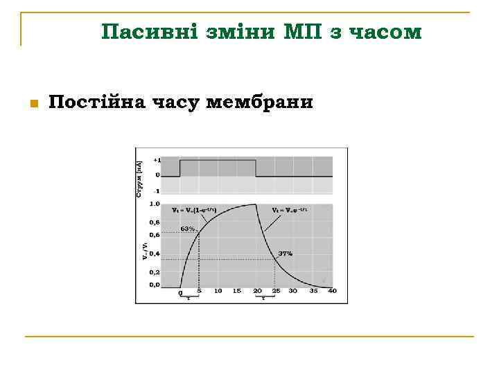 Пасивні зміни МП з часом n Постійна часу мембрани 