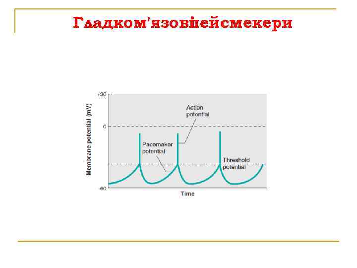 Гладком'язові пейсмекери 