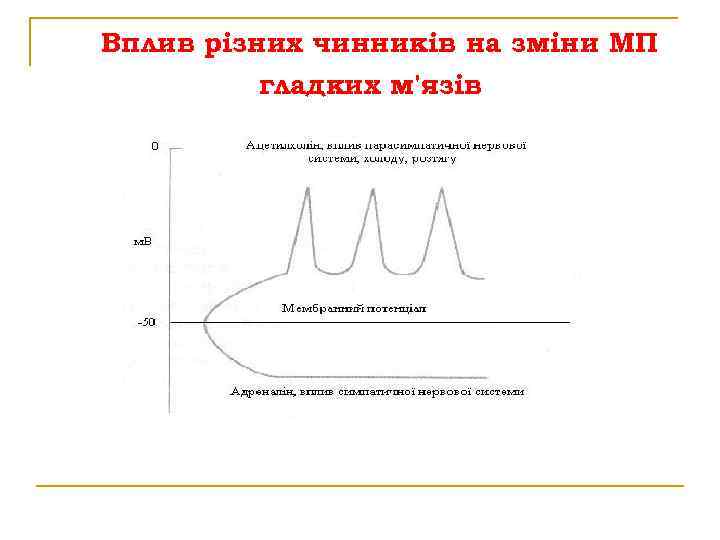 Вплив різних чинників на зміни МП гладких м'язів 