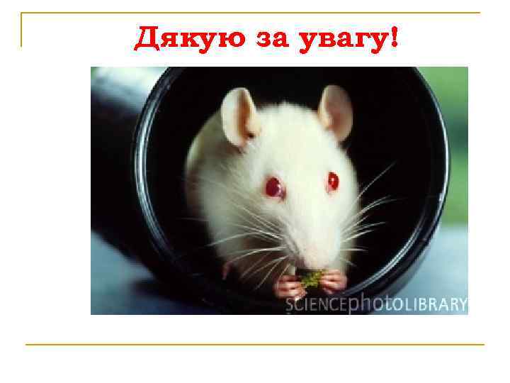 Дякую за увагу! 