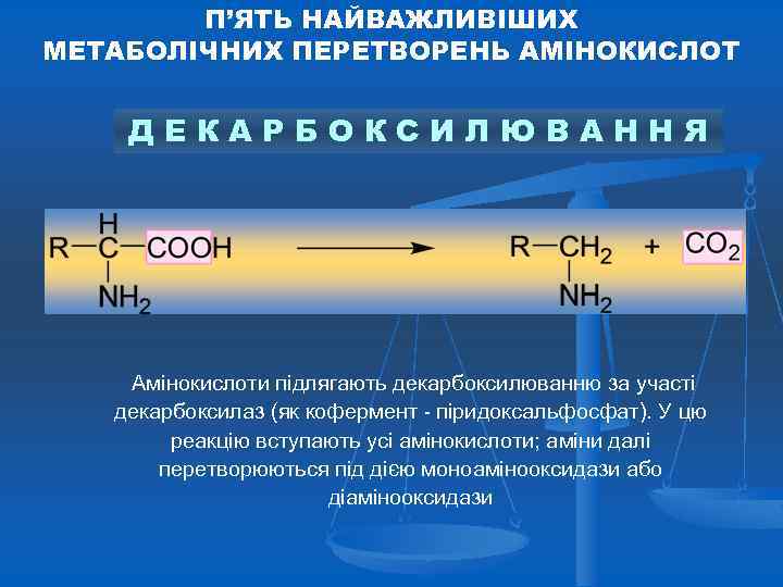 П’ЯТЬ НАЙВАЖЛИВІШИХ МЕТАБОЛІЧНИХ ПЕРЕТВОРЕНЬ АМІНОКИСЛОТ ДЕКАРБОКСИЛЮВАННЯ Амінокислоти підлягають декарбоксилюванню за участі декарбоксилаз (як кофермент