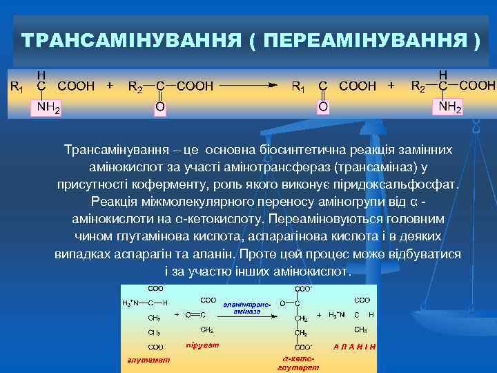 ТРАНСАМІНУВАННЯ ( ПЕРЕАМІНУВАННЯ ) Трансамінування – це основна біосинтетична реакція замінних амінокислот за участі