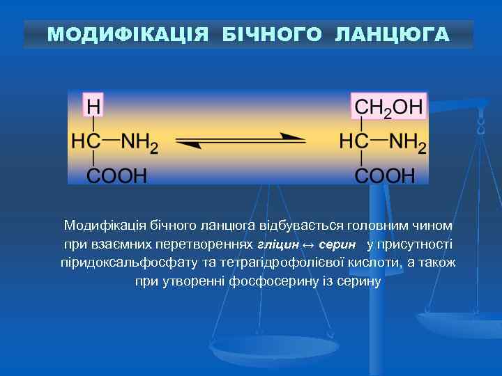 МОДИФІКАЦІЯ БІЧНОГО ЛАНЦЮГА Модифікація бічного ланцюга відбувається головним чином при взаємних перетвореннях гліцин ↔