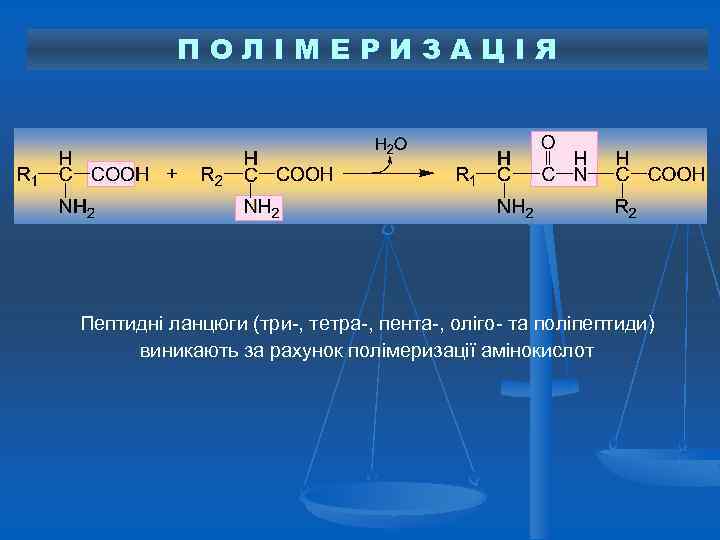 ПОЛІМЕРИЗАЦІЯ Пептидні ланцюги (три-, тетра-, пента-, оліго- та поліпептиди) виникають за рахунок полімеризації амінокислот