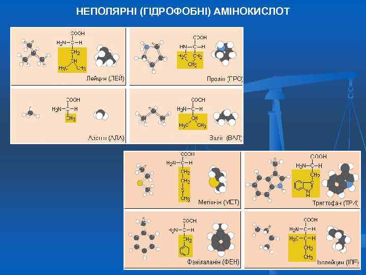 НЕПОЛЯРНІ (ГІДРОФОБНІ) АМІНОКИСЛОТ 