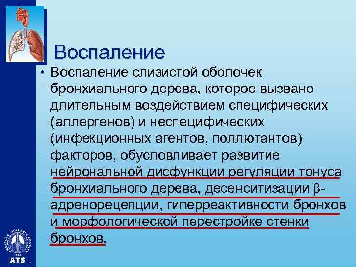 Воспаление • Воспаление слизистой оболочек бронхиального дерева, которое вызвано длительным воздействием специфических (аллергенов) и