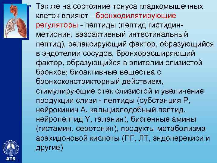  • Так же на состояние тонуса гладкомышечных клеток влияют - бронходилятирующие регуляторы -