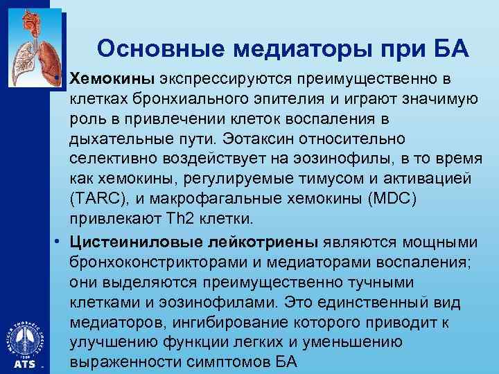 Основные медиаторы при БА • Хемокины экспрессируются преимущественно в клетках бронхиального эпителия и играют