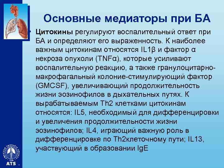 Основные медиаторы при БА • Цитокины регулируют воспалительный ответ при БА и определяют его