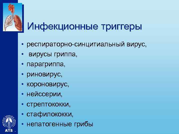 Инфекционные триггеры • • • респираторно-синцитиальный вирус, вирусы гриппа, парагриппа, риновирус, короновирус, нейссерии, стрептококки,