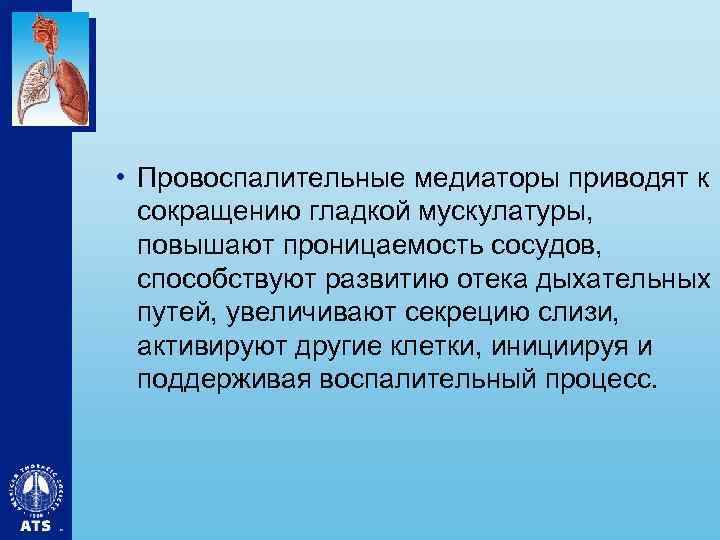  • Провоспалительные медиаторы приводят к сокращению гладкой мускулатуры, повышают проницаемость сосудов, способствуют развитию