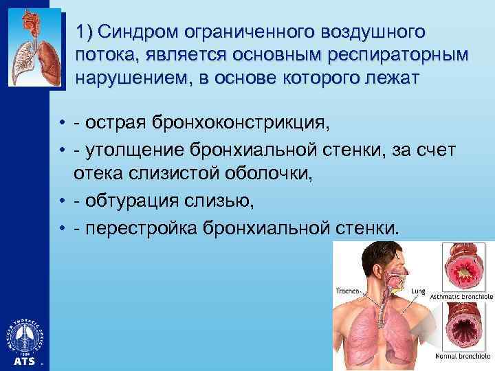 1) Синдром ограниченного воздушного потока, является основным респираторным нарушением, в основе которого лежат •