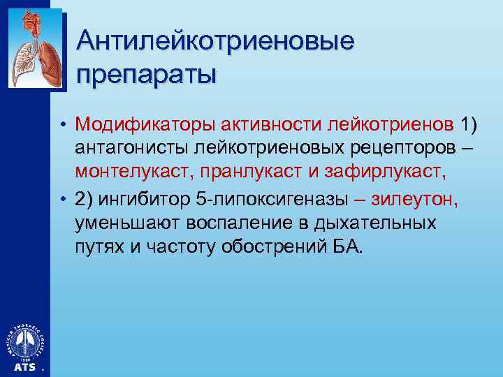 Антилейкотриеновые препараты • Модификаторы активности лейкотриенов 1) антагонисты лейкотриеновых рецепторов – монтелукаст, пранлукаст и