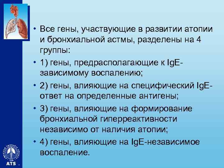  • Все гены, участвующие в развитии атопии и бронхиальной астмы, разделены на 4