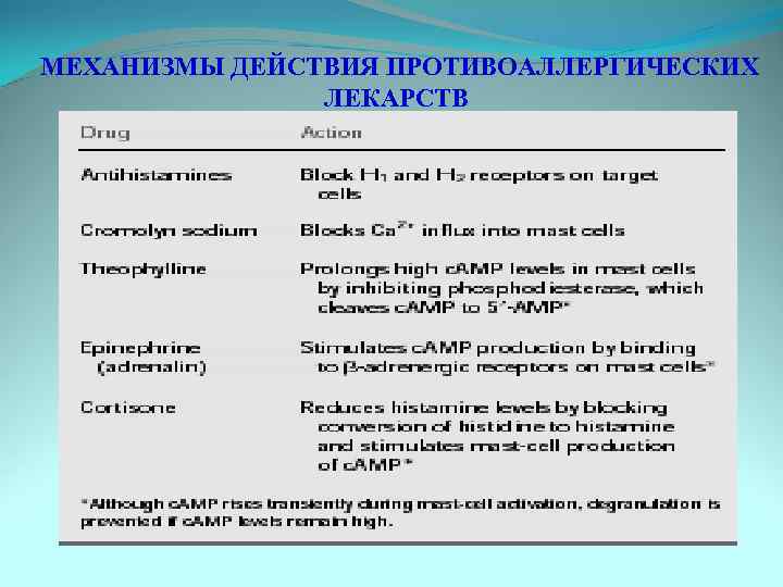 МЕХАНИЗМЫ ДЕЙСТВИЯ ПРОТИВОАЛЛЕРГИЧЕСКИХ ЛЕКАРСТВ 