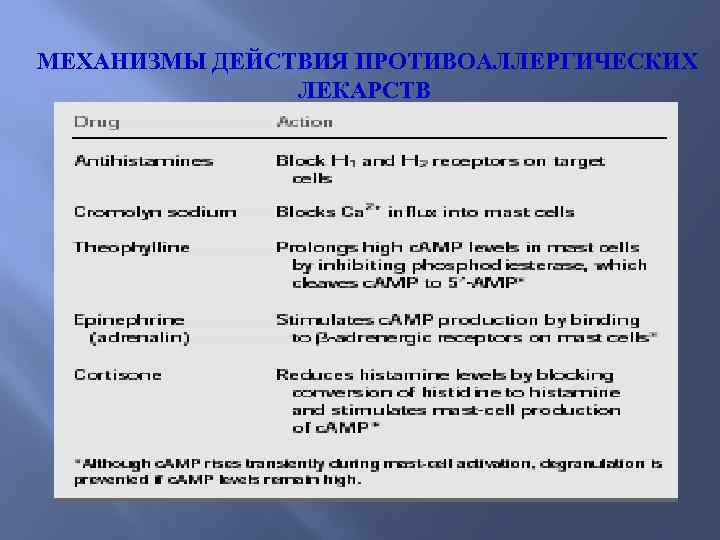 МЕХАНИЗМЫ ДЕЙСТВИЯ ПРОТИВОАЛЛЕРГИЧЕСКИХ ЛЕКАРСТВ 
