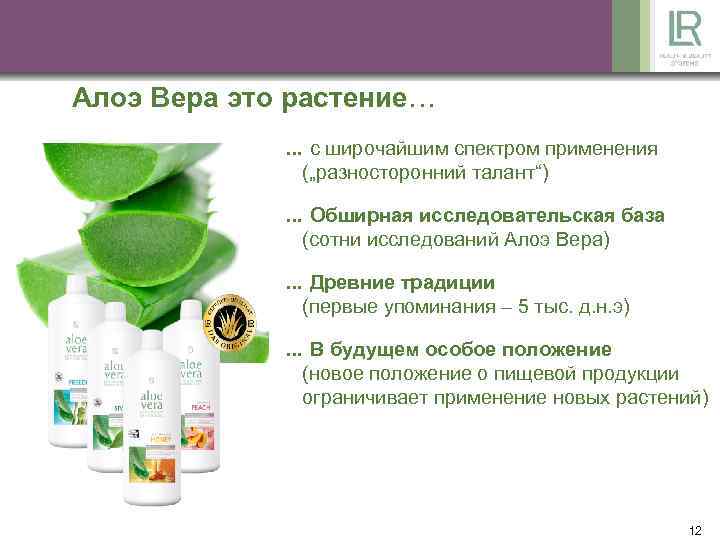 Алоэ Вера это растение…. . . с широчайшим спектром применения („разносторонний талант“). . .