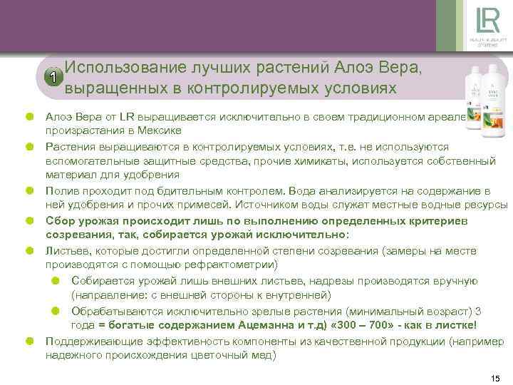 Использование лучших растений Алоэ Вера, выращенных в контролируемых условиях Алоэ Вера от LR выращивается