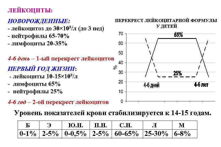 ЛЕЙКОЦИТЫ: НОВОРОЖДЕННЫЕ: - лейкоцитоз до 30× 109/л (до 3 нед) - нейтрофилы 65 -70%