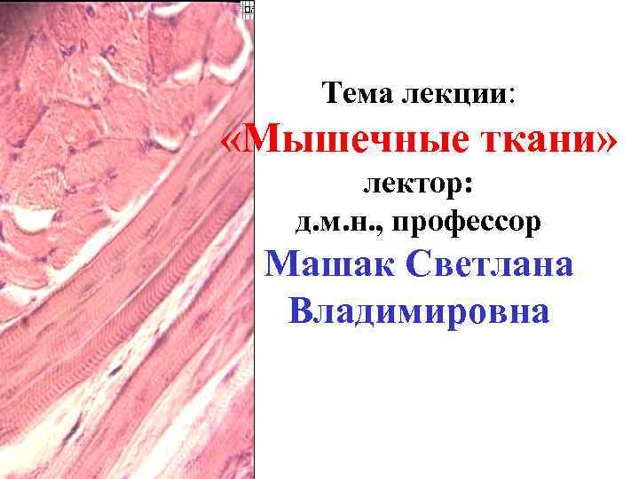 Тема лекции: «Мышечные ткани» лектор: д. м. н. , профессор Машак Светлана Владимировна 