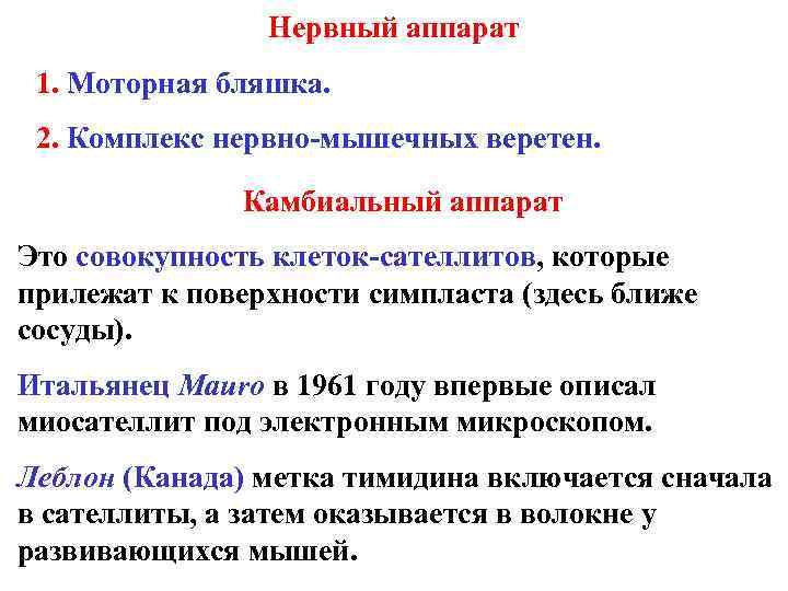 Нервный аппарат 1. Моторная бляшка. 2. Комплекс нервно-мышечных веретен. Камбиальный аппарат Это совокупность клеток-сателлитов,