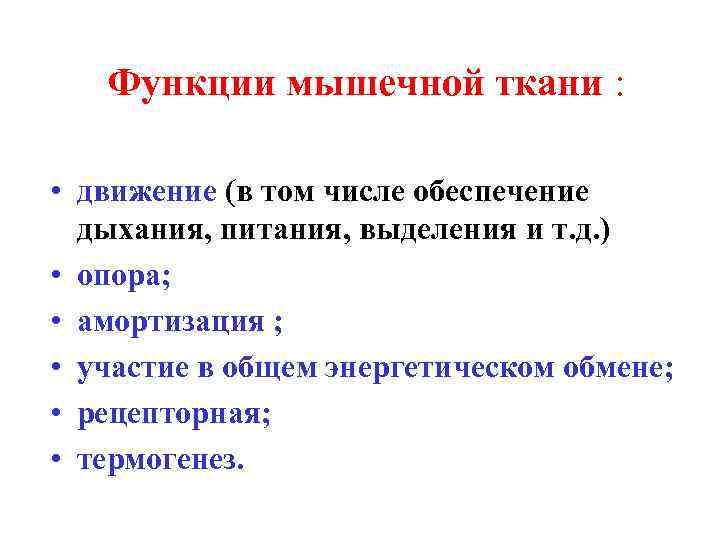 Число обеспечение. Основная функция мышечной ткани. Функции мфшечная ткани. Функции мышечной тауагти. Мышкчнаяткань функции.