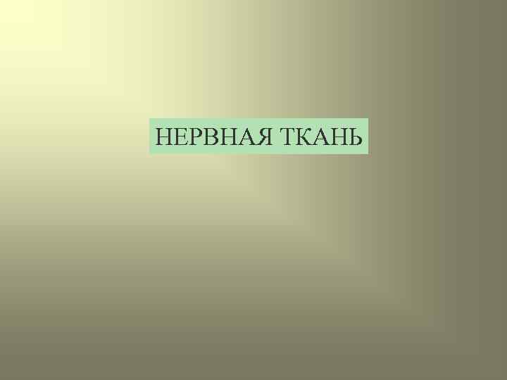 НЕРВНАЯ ТКАНЬ 