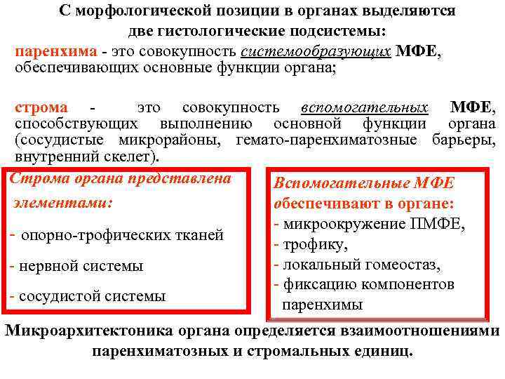 С морфологической позиции в органах выделяются две гистологические подсистемы: паренхима - это совокупность системообразующих