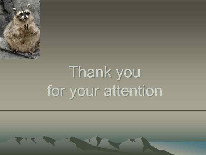 Thank you for your attention 