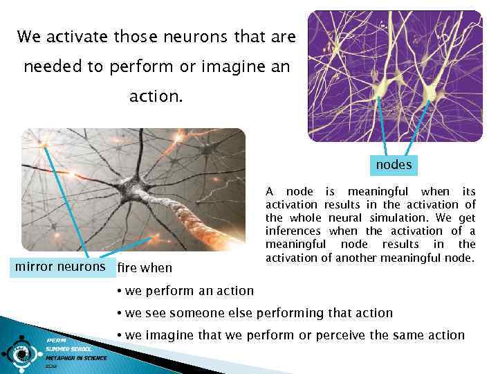 We activate those neurons that are needed to perform or imagine an action. nodes