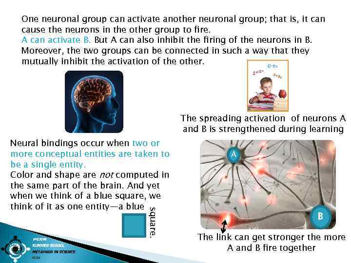 One neuronal group can activate another neuronal group; that is, it can cause the