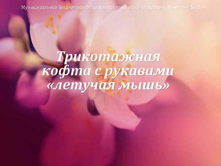 Муниципальное Бюджетное Общеобразовательное Учреждение «Гимназия № 21» Трикотажная кофта с рукавами «летучая мышь» 