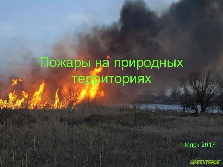 Пожары на природных территориях Март 2017 