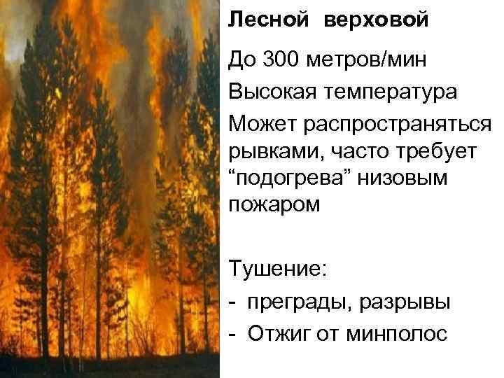 Лесной верховой До 300 метров/мин Высокая температура Может распространяться рывками, часто требует “подогрева” низовым
