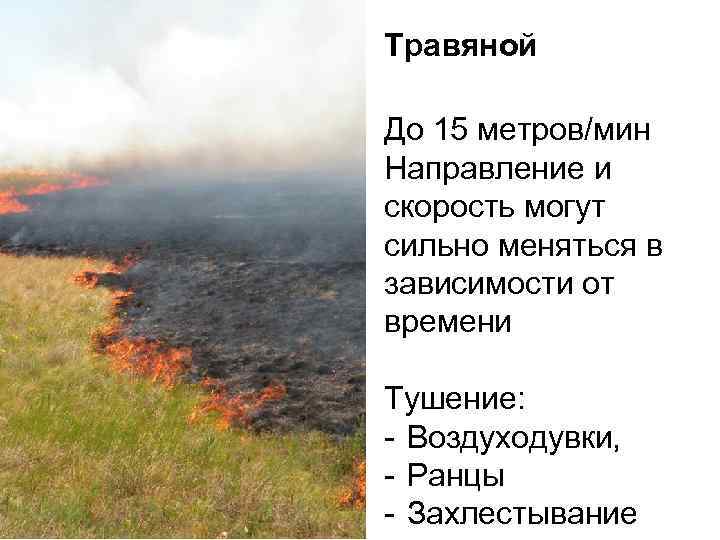 Травяной До 15 метров/мин Направление и скорость могут сильно меняться в зависимости от времени