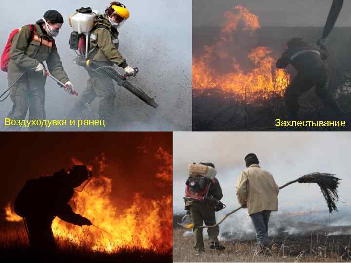 Воздуходувка и ранец Захлестывание 