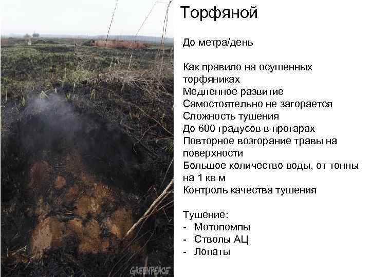 Торфяной До метра/день Как правило на осушенных торфяниках Медленное развитие Самостоятельно не загорается Сложность