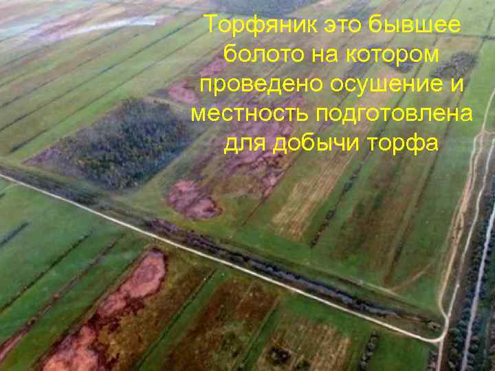 Торфяник это бывшее болото на котором проведено осушение и местность подготовлена для добычи торфа