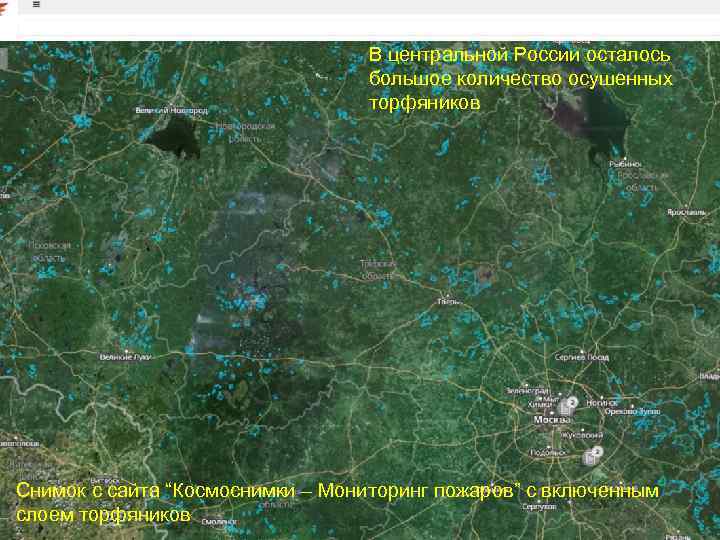 В центральной России осталось большое количество осушенных торфяников Снимок с сайта “Космоснимки – Мониторинг