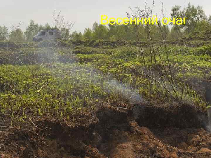 Весенний очаг 