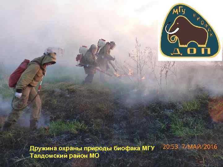 Дружина охраны природы биофака МГУ Талдомский район МО 