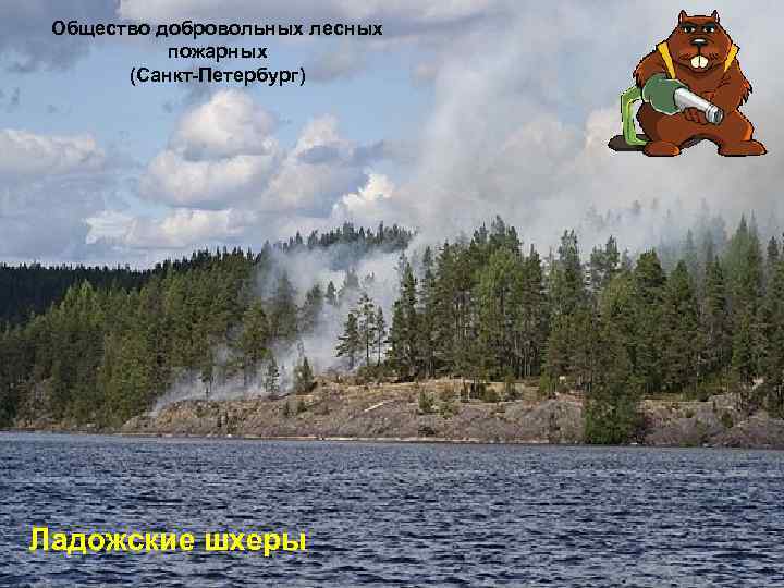 Общество добровольных лесных пожарных (Санкт-Петербург) Ладожские шхеры 