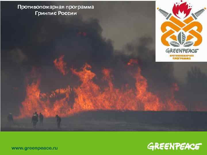 Противопожарная программа Гринпис России 