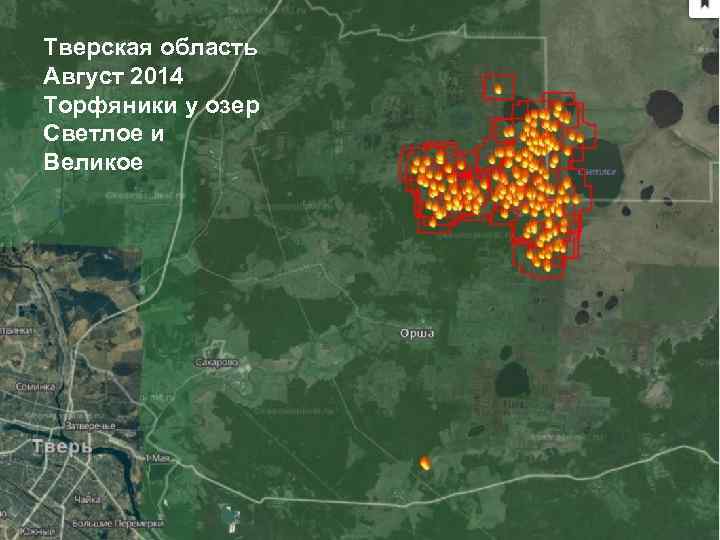 Тверская область Август 2014 Торфяники у озер Светлое и Великое 