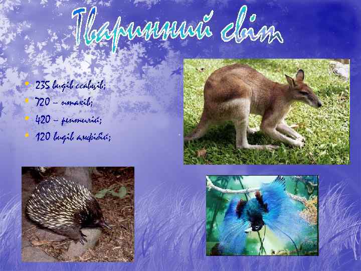  • 235 видів ссавців; • 720 – птахів; • 420 – рептилій; •
