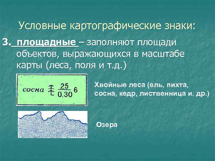 Условные картографические знаки: 3. площадные – заполняют площади объектов, выражающихся в масштабе карты (леса,