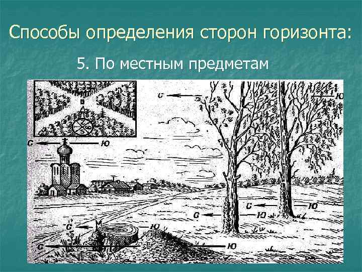 Способы определения сторон горизонта: 5. По местным предметам 