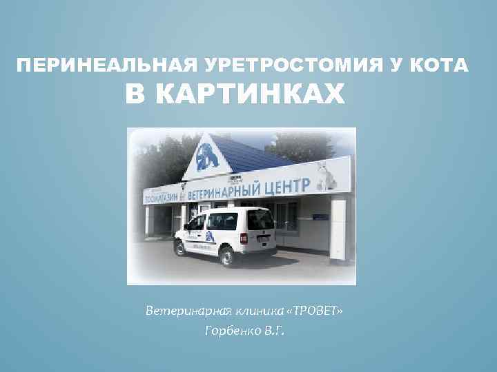 ПЕРИНЕАЛЬНАЯ УРЕТРОСТОМИЯ У КОТА В КАРТИНКАХ Ветеринарная клиника «ТРОВЕТ» Горбенко В. Г. 